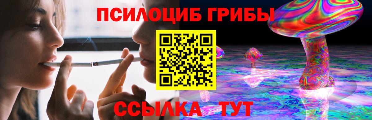 Псилоцибиновые грибы GOLDEN TEACHER Удомля