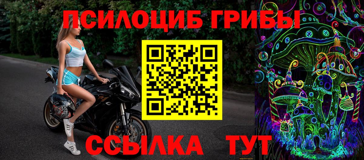 Псилоцибиновые грибы Psilocybe  Галлюциногенные грибы прущие грибы  Удомля  Вход с VPN 